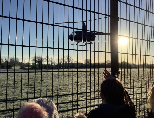 Santa Fly By